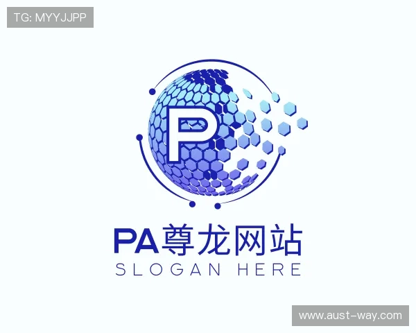 关于PA尊龙
